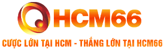 hcm660.com